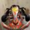 Vendo kart mini