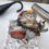 Motore TM KZ10C